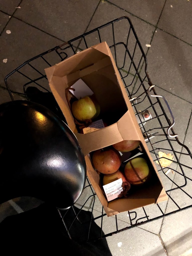 Eine fast leere Apfelbox im Fahrradkorb